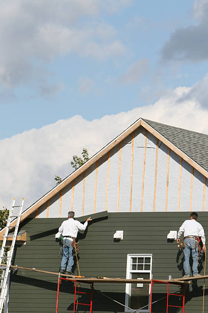 Best Residential Vinyl Siding Installation  in St Louis, MI
